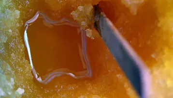 Fiyatı belli oldu: 2 bin 500 TL'den satılacak