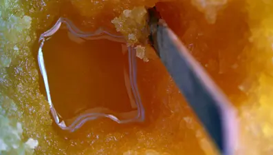 Fiyatı belli oldu: 2 bin 500 TL'den satılacak