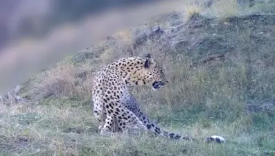 Bakan Yumaklı duyurdu: Anadolu Parsı'ndan yeni görüntü