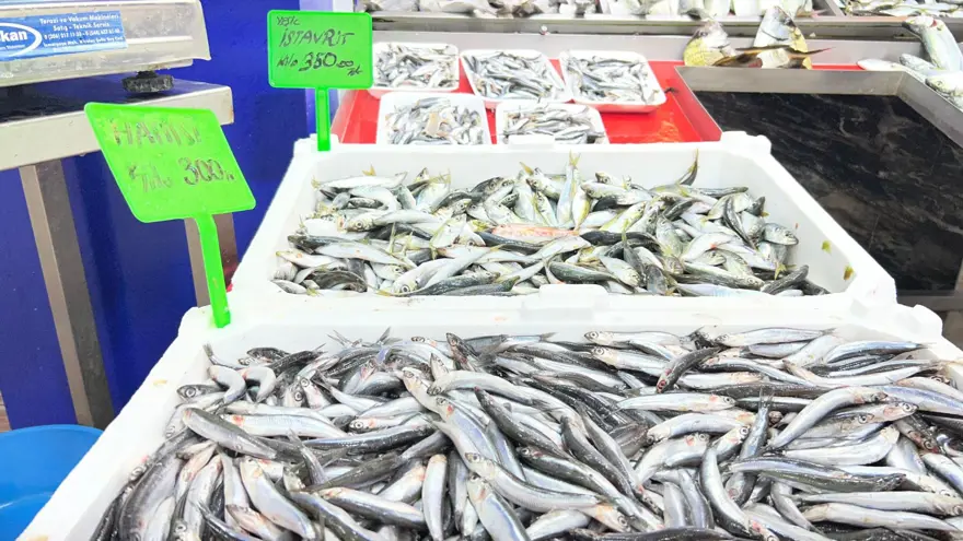 Denizlerin prensi 900 lira: Tezgaha indi, bu sene bol Denizlerin prensi 900 lira: Tezgaha indi, bu sene bol