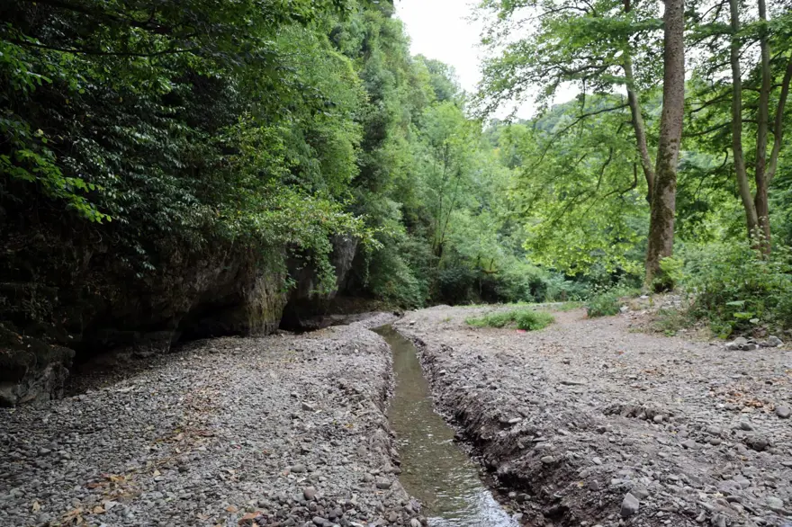 Sakarya’da korkutan manzara: Doğaseverlerin gözdesi kurudu 8