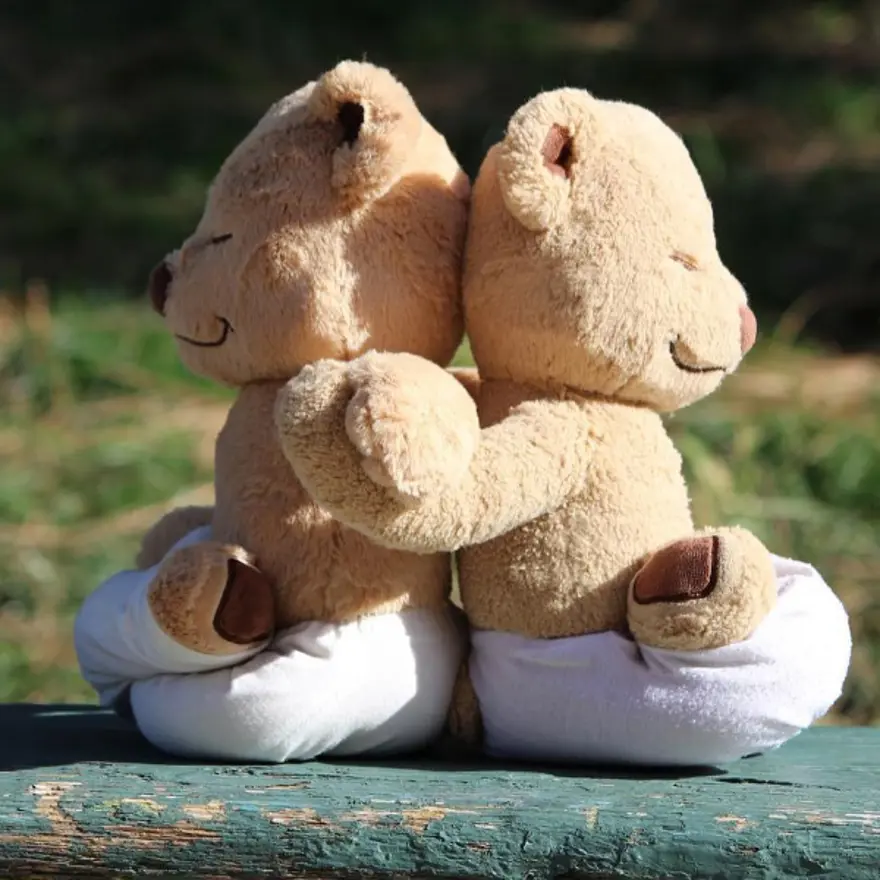 İnternetin yeni fenomeni Yogi Ayı Meddy Teddy 17