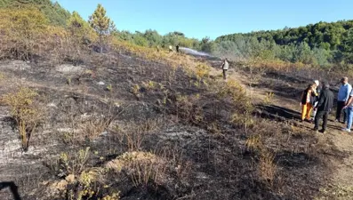 Bilecik'te orman yangını paniği