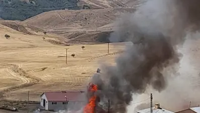 Ahır yangınında 22 hayvan öldü (Telefon çekmediği için geç ihbar edilebildi)