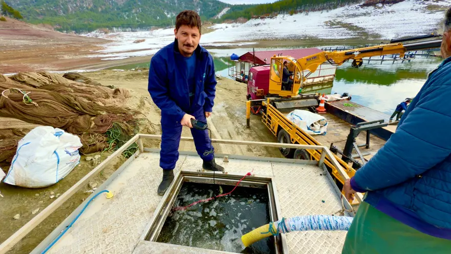Tokat'ın somonları dünya sofralarına ulaşıyor: Rusya, Çin, Japonya ve Avrupa'ya satılıyor 3