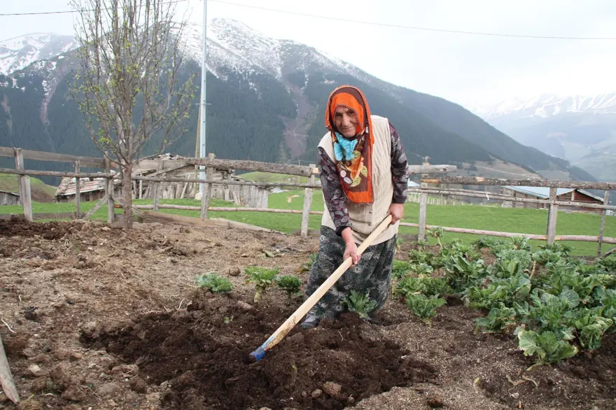 Corona virüs vakası görülmeyen yaylada yaşıyorlar 2