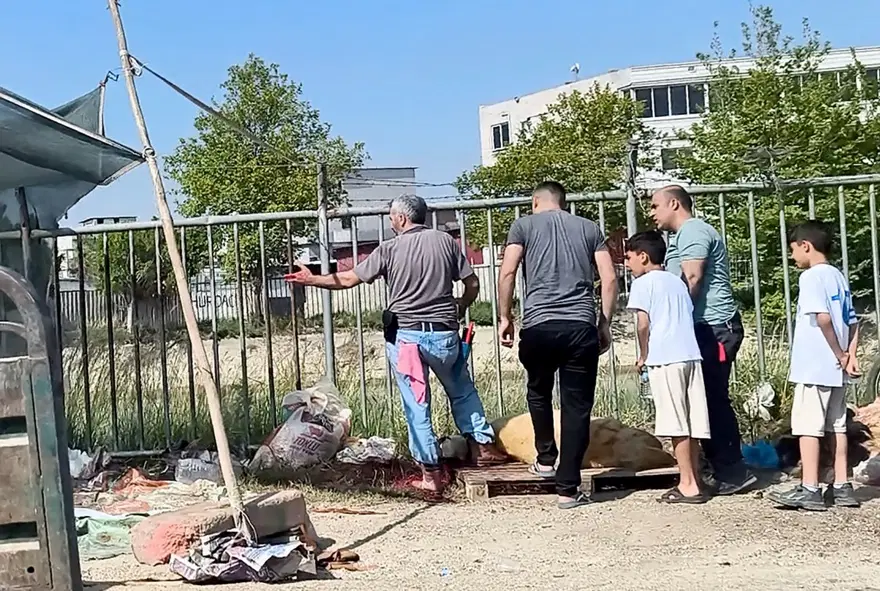 Yine yasağa aldırış etmediler: Kurbanlıkları kaldırımlarda ve yol kenarlarında kestiler 2