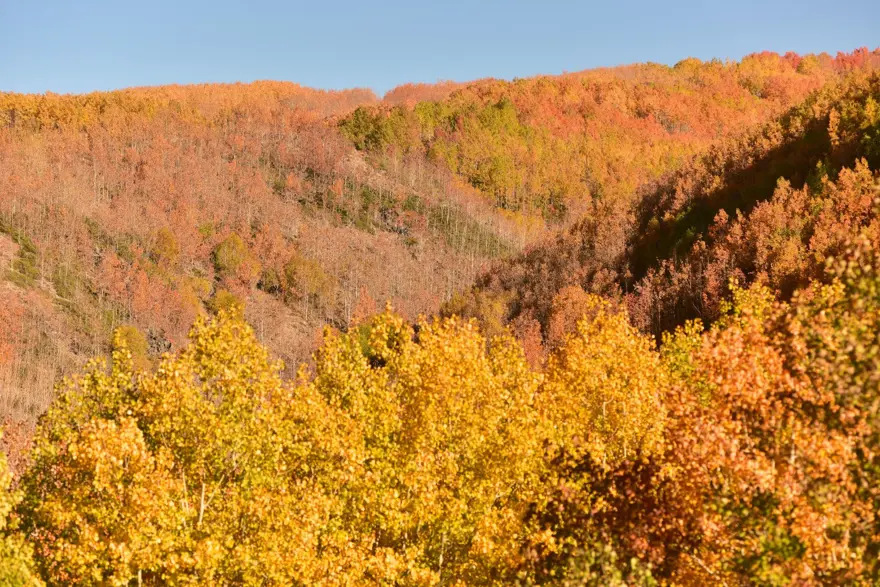 Nemrut Krater Gölü’nde sonbahar güzelliği eşliğinde çevre temizliği 16