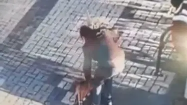 14 yaşındaki çocuk kediyi mala ile dövdü