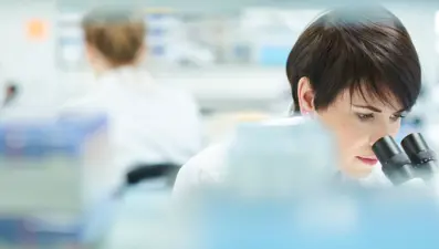 Açlık hormonu ghrelinin eylemsel hafızayı artırdığı keşfedildi