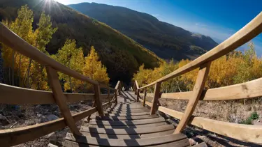 Doğaseverlerin Kayseri'deki saklı hazinesi: Ortaseki Ormanları