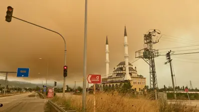 Karamürsel'de orman yangını: Dumanlar Bursa'ya kadar geldi
