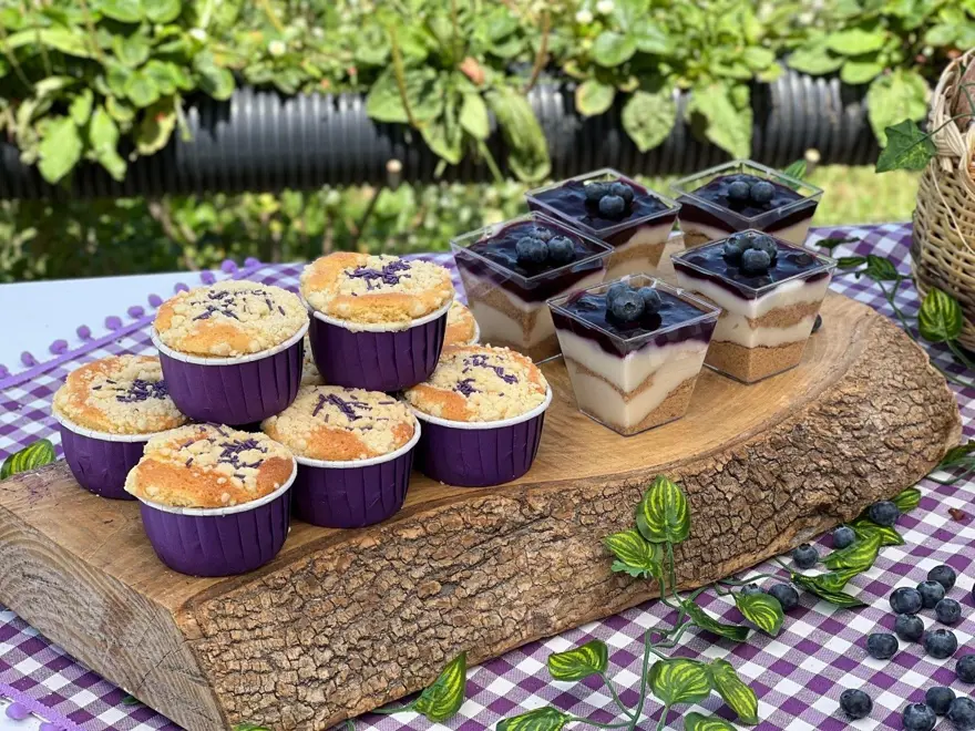 Halk arasında ona "mavi yemiş" deniyor! 10 yıl önce keşfedildi, önemli bir gelir kapısı oldu 12 Halk arasında ona "mavi yemiş" deniyor! 10 yıl önce keşfedildi, önemli bir gelir kapısı oldu 12