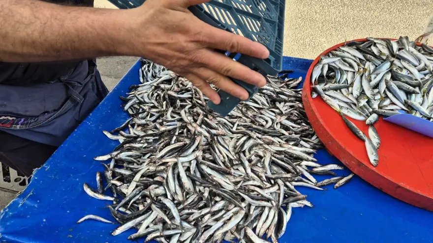 “BU FİYATLARA BALIK BEDAVA” 2