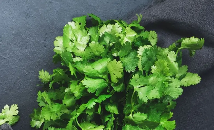 Türkiye'de Isparta ve Konya'da yetişiyor: Değerini en çok Meksikalılar biliyor! Karaciğerde toksin bırakmayan besin 8