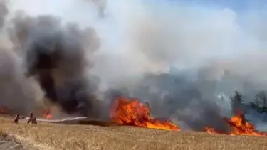 Çanakkale'de tarım arazisinde yangın