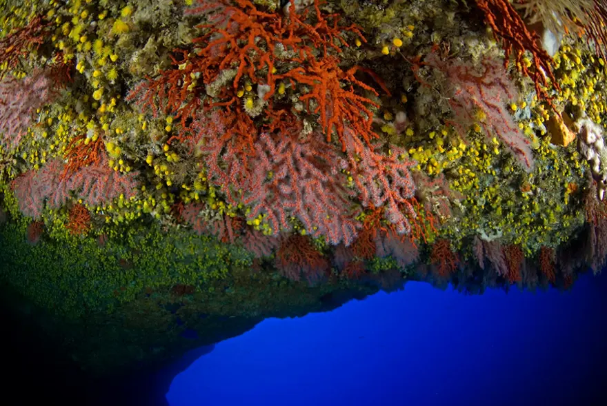 Alcyone'un Akdeniz yolculuğu 5