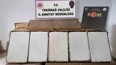 Sigara kaçakçılığı operasyonu: 7 şüpheli yakalandı