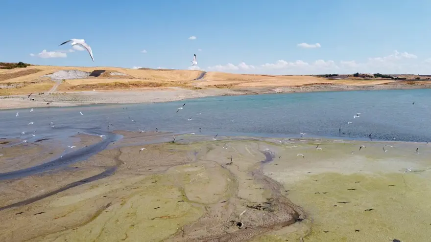 Baraj suyunun rengi yeşile döndü (İşte nedeni) 5