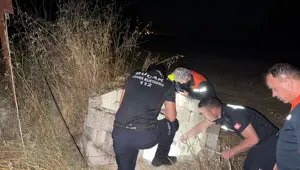 Burdur'da kuyuya düşen kedi itfaiye tarafından kurtarıldı