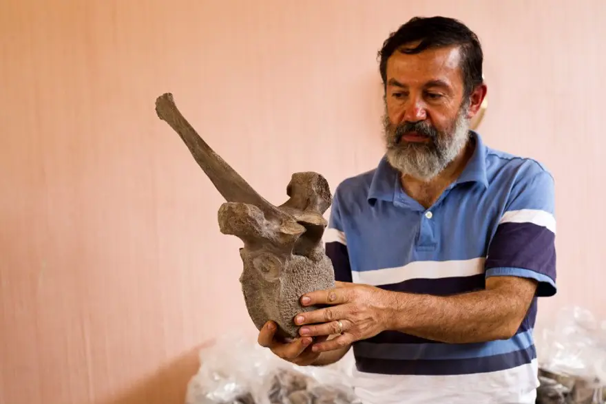 14 bin yıllık mamut fosili bulundu 4