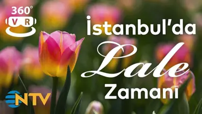 NTV 360 derece / İstanbul'da lale zamanı