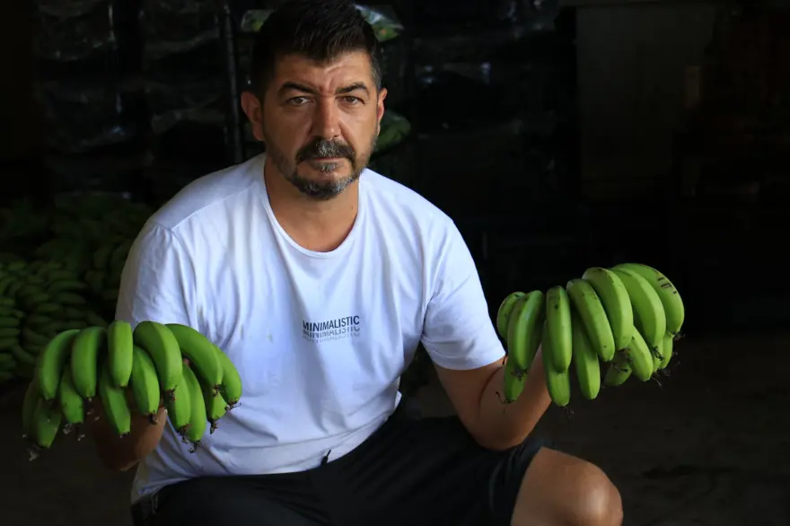 Muz üreticide 3 lira markette 12 lira 10