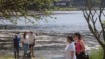 Bolu Valiliği duyurdu! 1 Temmuz itibarıyla ormanlara giriş yasaklandı