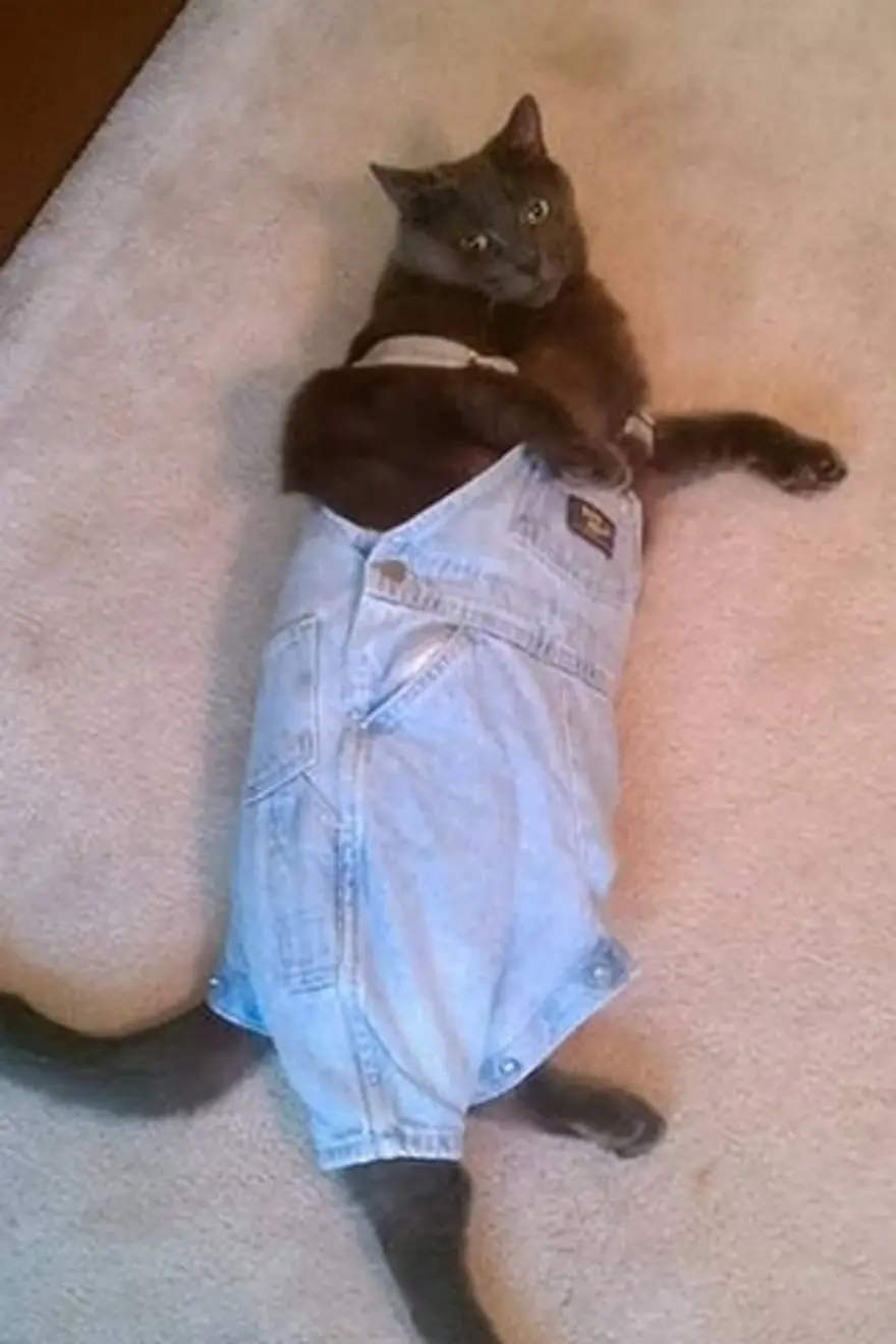 Poz verme sanatı 27