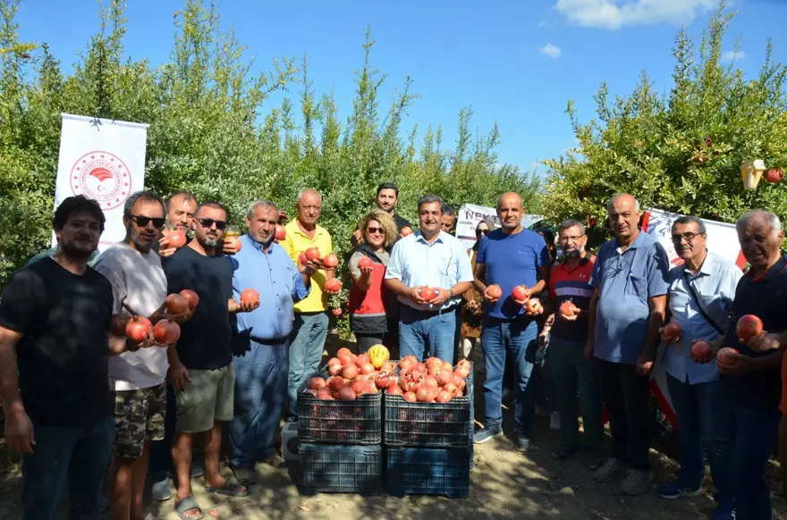 Antalya'da hasat başladı: 14 bin 500 dekar alanda üretim 2 Antalya'da hasat başladı: 14 bin 500 dekar alanda üretim 2