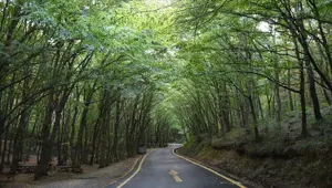 2 ilde ormana giriş yasağı