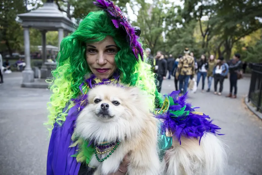 Köpeklere özel Cadılar Bayramı 14