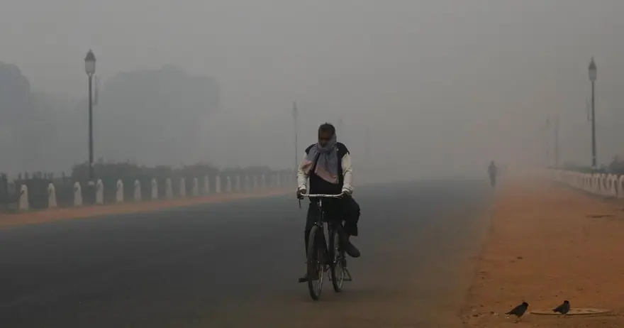 Harvard Üniversitesi: Orman yangınları Covid-19’un ölümcüllük düzeyini artırıyor 2