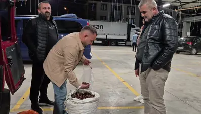 Toplaması çok zahmetli, kilosu 400 lirayı buluyor: Tescilli lezzet pazara indi