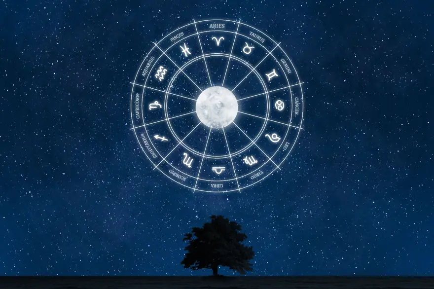 4- BAŞAK BURCU 13 4- BAŞAK BURCU 13