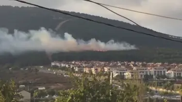 Pendik'te ormanlık alanda yangın
