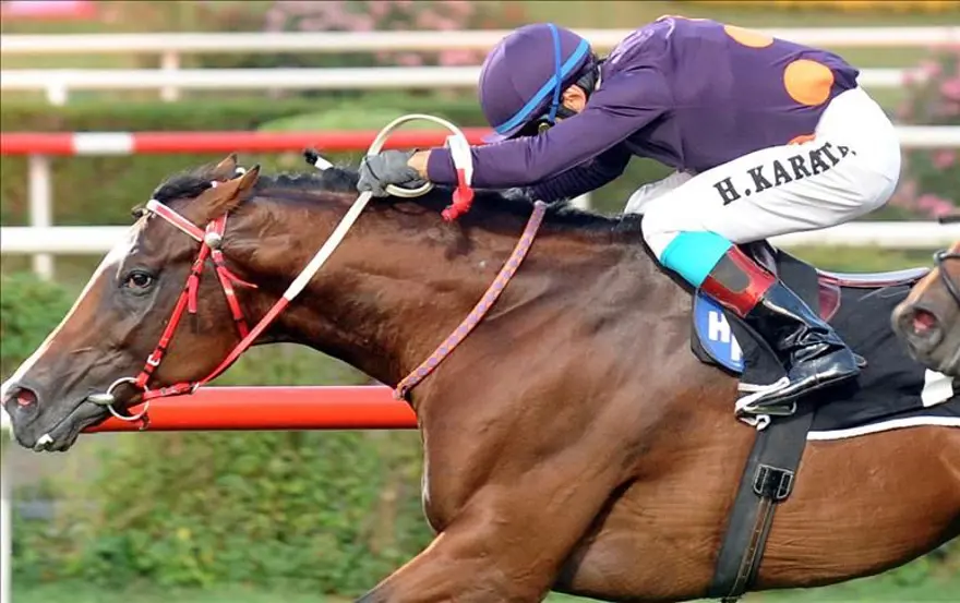 Halis Karataş'tan bir rekor daha: 7 bininci yarış zaferi 4