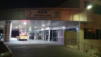 Ayı saldırısına uğrayan ve yaralanan çobanı köpekler kurtardı