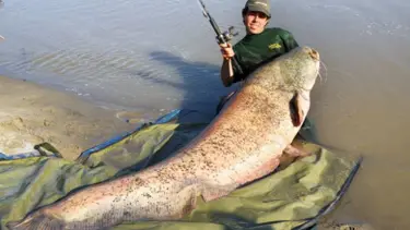 Daha büyüğü yakalanmadı!