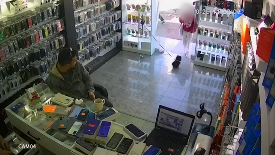 Mersin'de 2 aylık köpeği severken öldürdüler! 