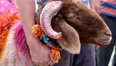 Bayrama kaç gün kaldı? 2025 Kurban Bayram'ının ilk günü ne zaman, ayın kaçına denk geliyor?