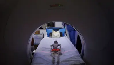 Meksika'da bulunan uzaylı fosilleri gerçek mi? Bilim insanları araştırmalarını tamamladı