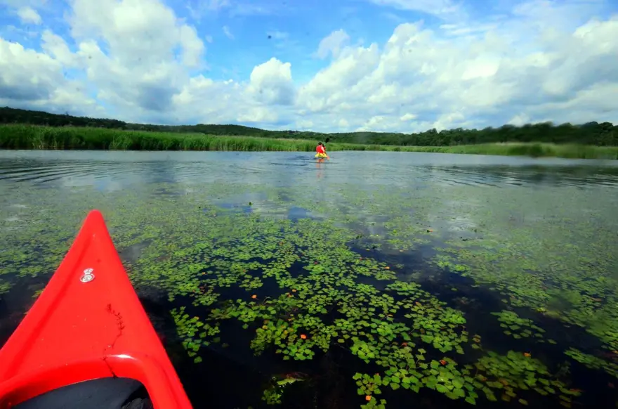 Trakya'nın saklı cenneti 'İğneada' ziyaretçilerini bekliyor: Üstelik İstanbul'a 3 saat uzaklıkta 17