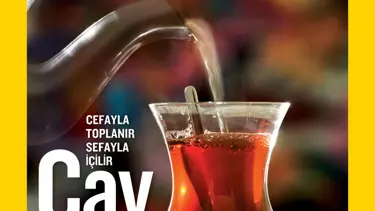 Çayın Türkiye serüveni