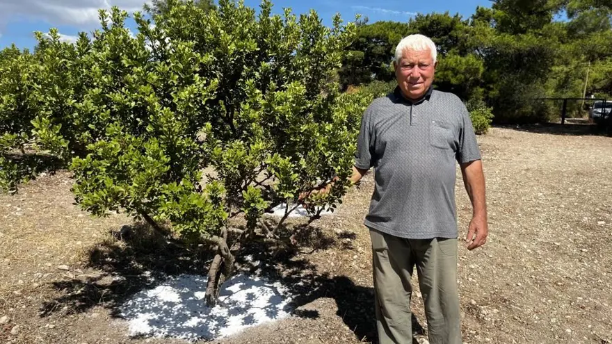 “PİYASADAN ÇOK TALEP VAR” 2