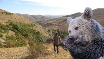 Annesini kaybeden yavru ayı köyü alarma geçirdi