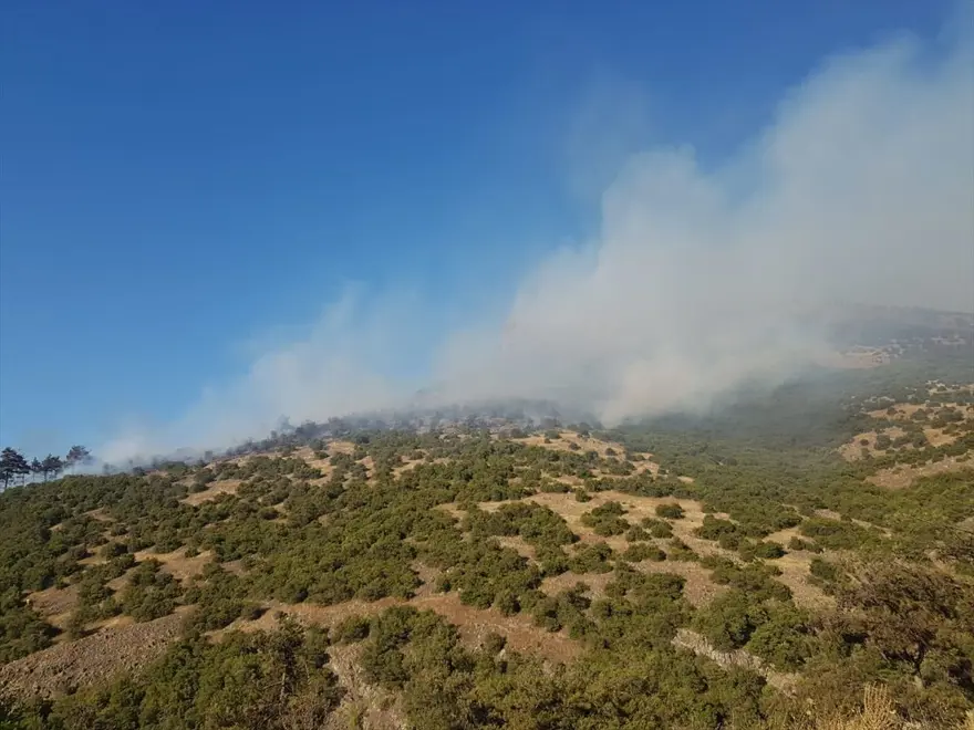 Balıkesir'de orman yangını 3