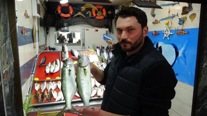 ''Denizlerin prensi'' tezgahta yerini aldı! Kilosu bin 200 TL'den satılıyor 3 ''Denizlerin prensi'' tezgahta yerini aldı! Kilosu bin 200 TL'den satılıyor 3