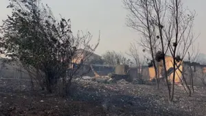 Orman yangınlarında son durum: Bazı evler küle döndü