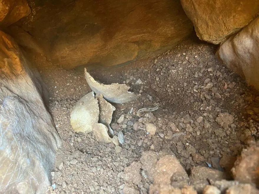 BÖLGE KORUMA ALTINA ALINDI 3